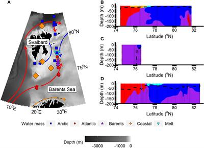 Different Observational Methods and the Detection of Seasonal and Atlantic Influence Upon Phytoplankton Communities in the Western Barents Sea